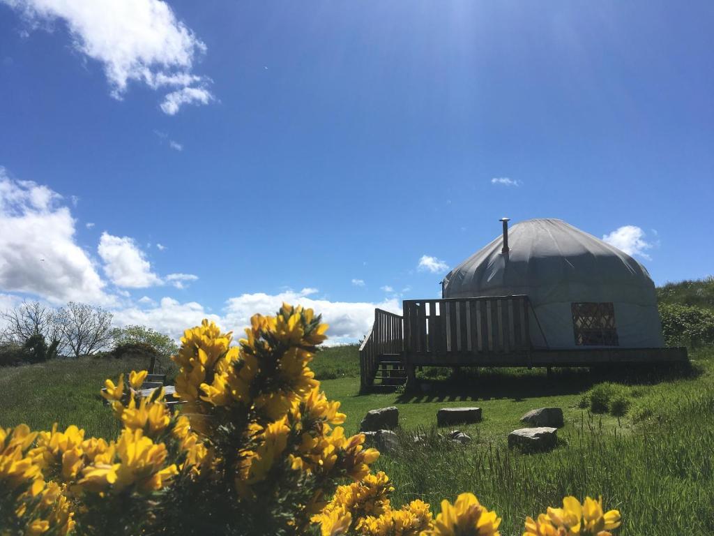 a yurt in the middle of a field with yellow flowers at Portsalon Luxury Camping in Portsalon