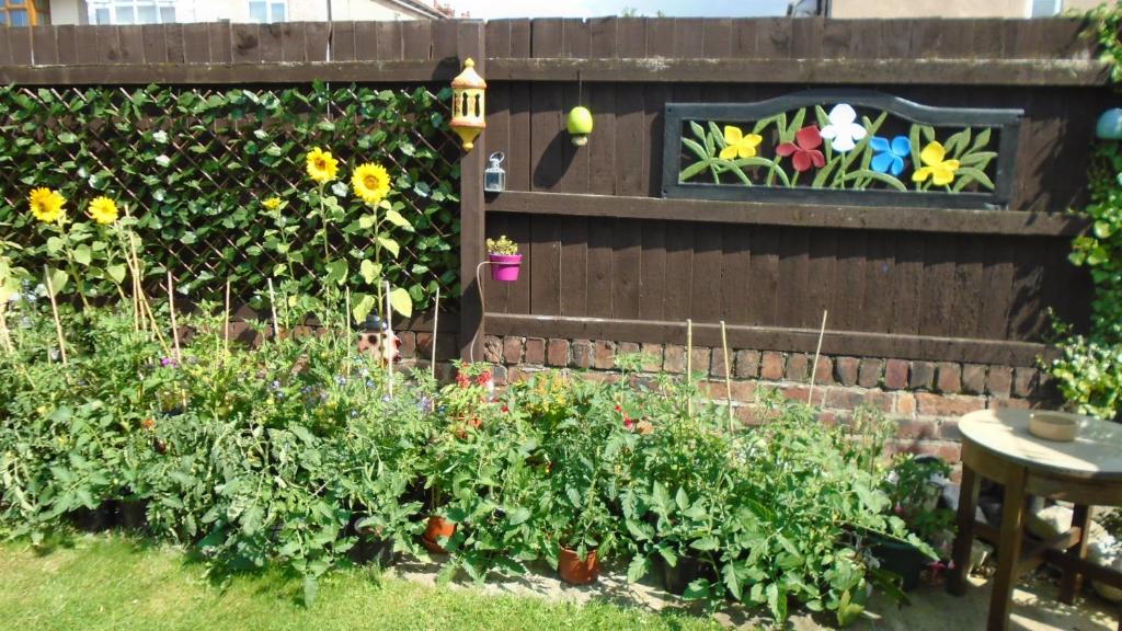a garden with flowers and a fence with stained glass windows at TEA in Liverpool - Private - Quiet - Ground Floor - En-suite - Walk-in-shower in Liverpool