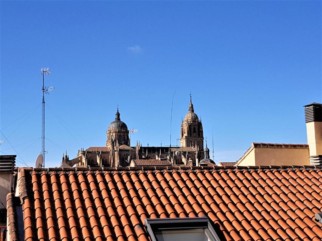 - Vistas a los tejados de un edificio en Duplex completo junto a la Plaza Mayor en Salamanca