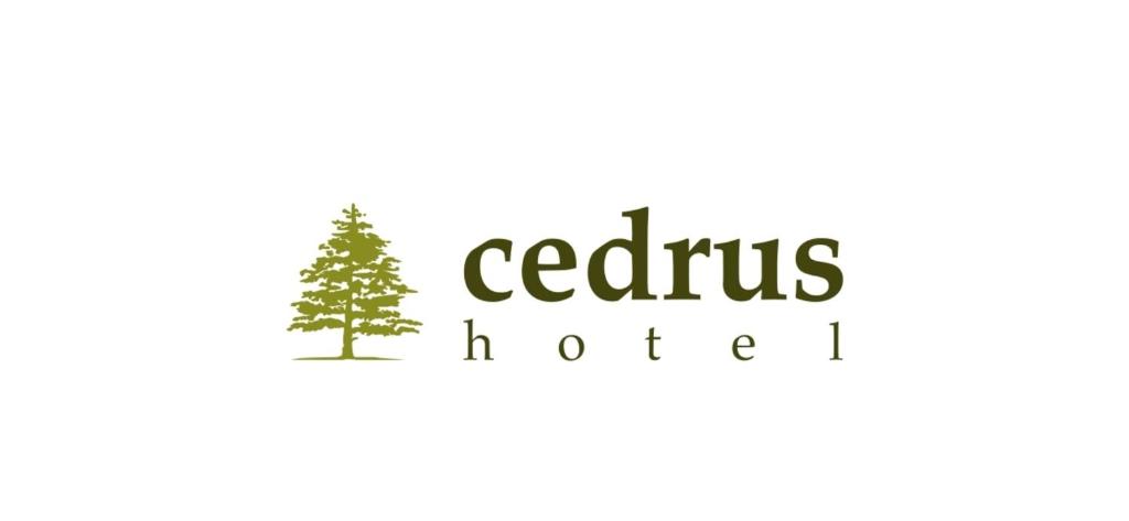 Cedrus Hotel - 13