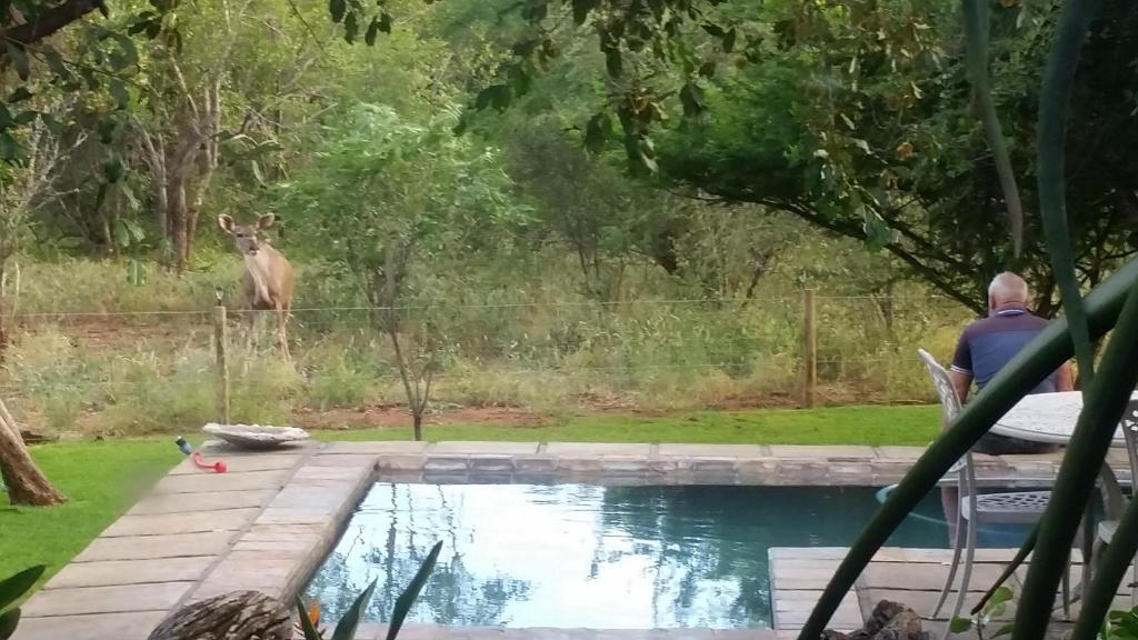 Un jardín fuera de Call of the Wild Lodge