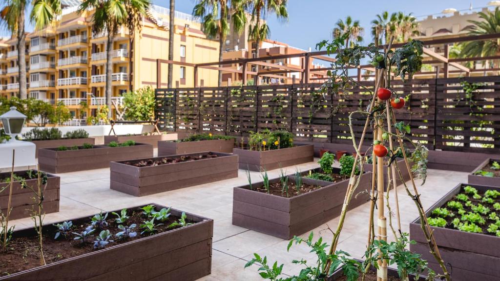 Zahrada ubytování Be Live Adults Only Tenerife