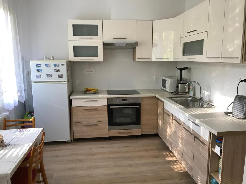 a kitchen with a white refrigerator and a sink at Sunny appartment by the river in Dolný Kubín