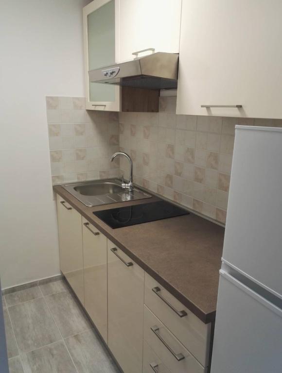 Kuchyňa alebo kuchynka v ubytovaní Apartment Niva