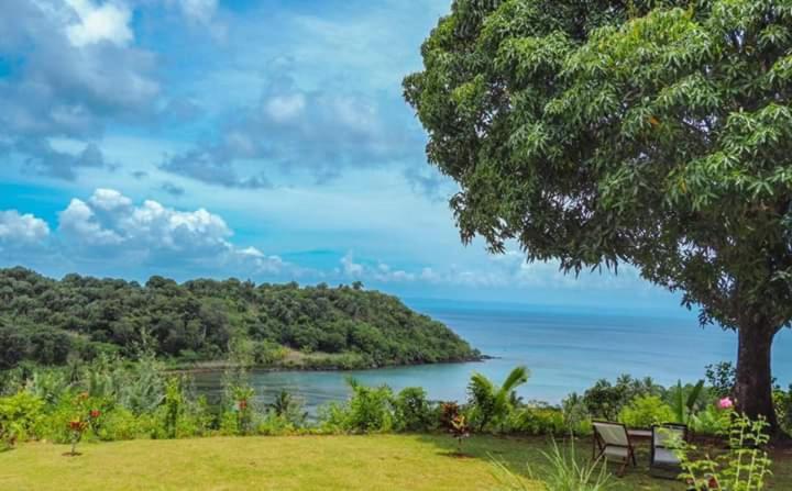 a tree and two benches sitting next to a lake at Lambawany in Sainte Marie