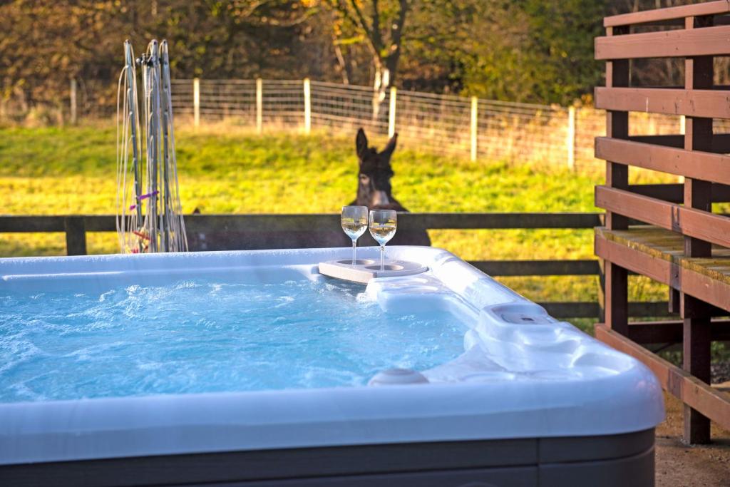 um cão ao lado de uma banheira de hidromassagem com dois copos de vinho em Glen Bay - 2 Bed Lodge on Friendly Farm Stay with Private Hot Tub em New Cumnock