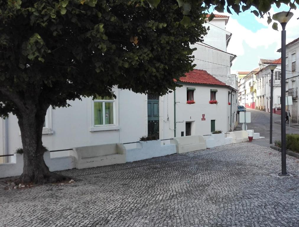 a tree on a cobblestone street next to a white building at Trevim in Lousã