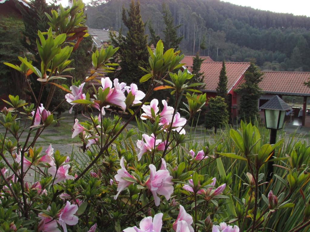  Pousada Flores da Serra