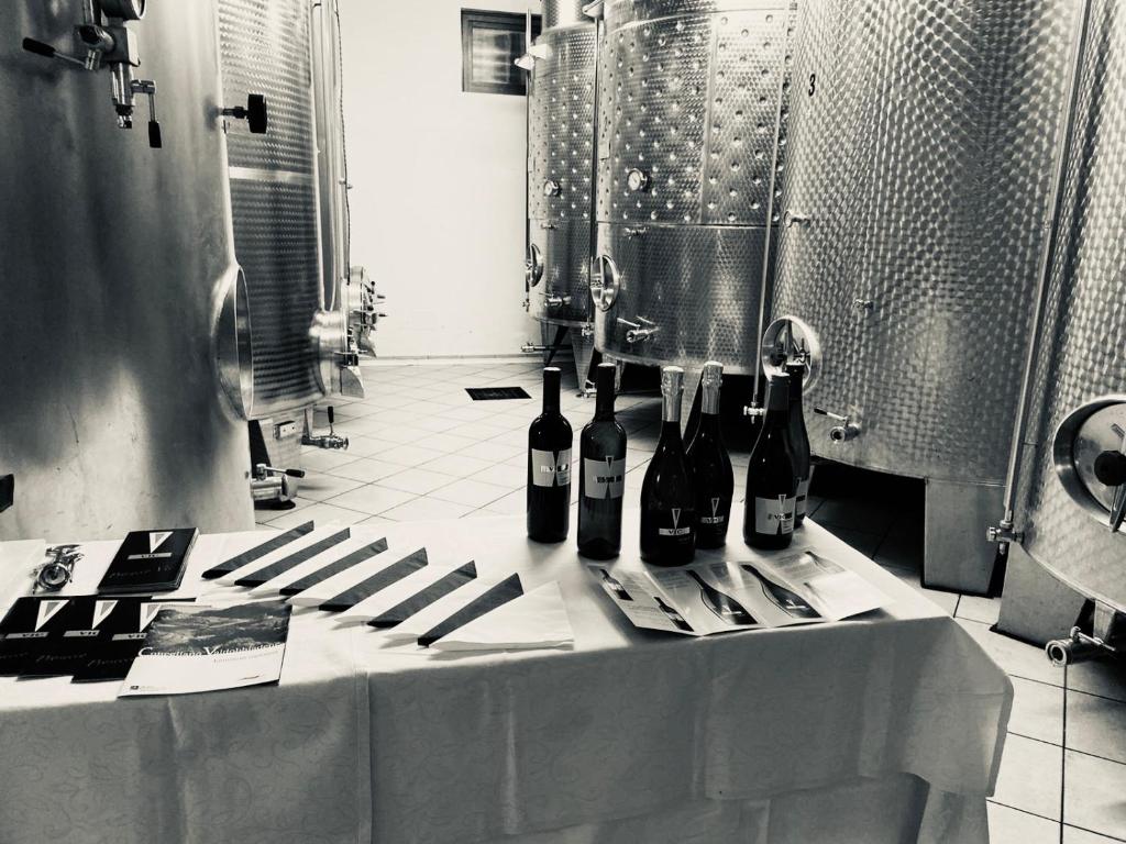 Nápoje v ubytování Agriturismo Al Credazzo