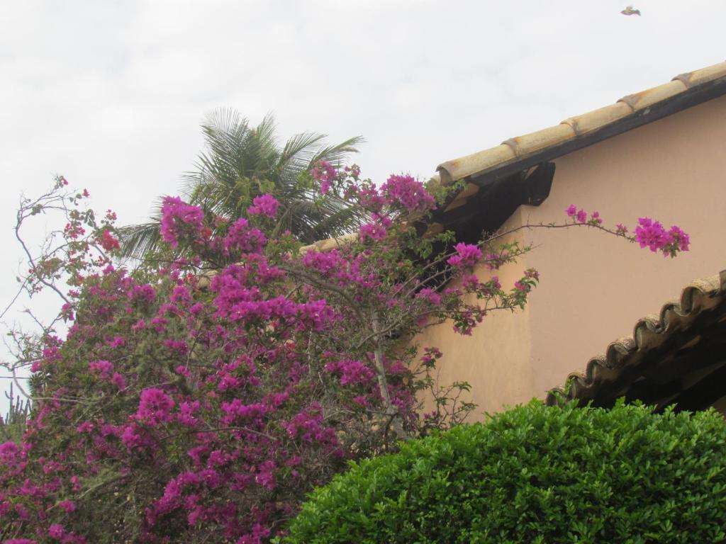  Casa Pontal do Atalaia