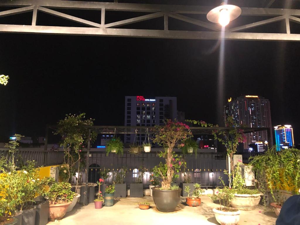 a group of potted plants on a rooftop at night at Restfull apartment-14 Mai Thuc Lan, My An , Da nang in Danang