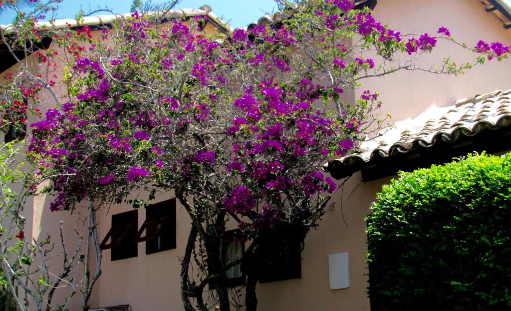  Casa Pontal do Atalaia