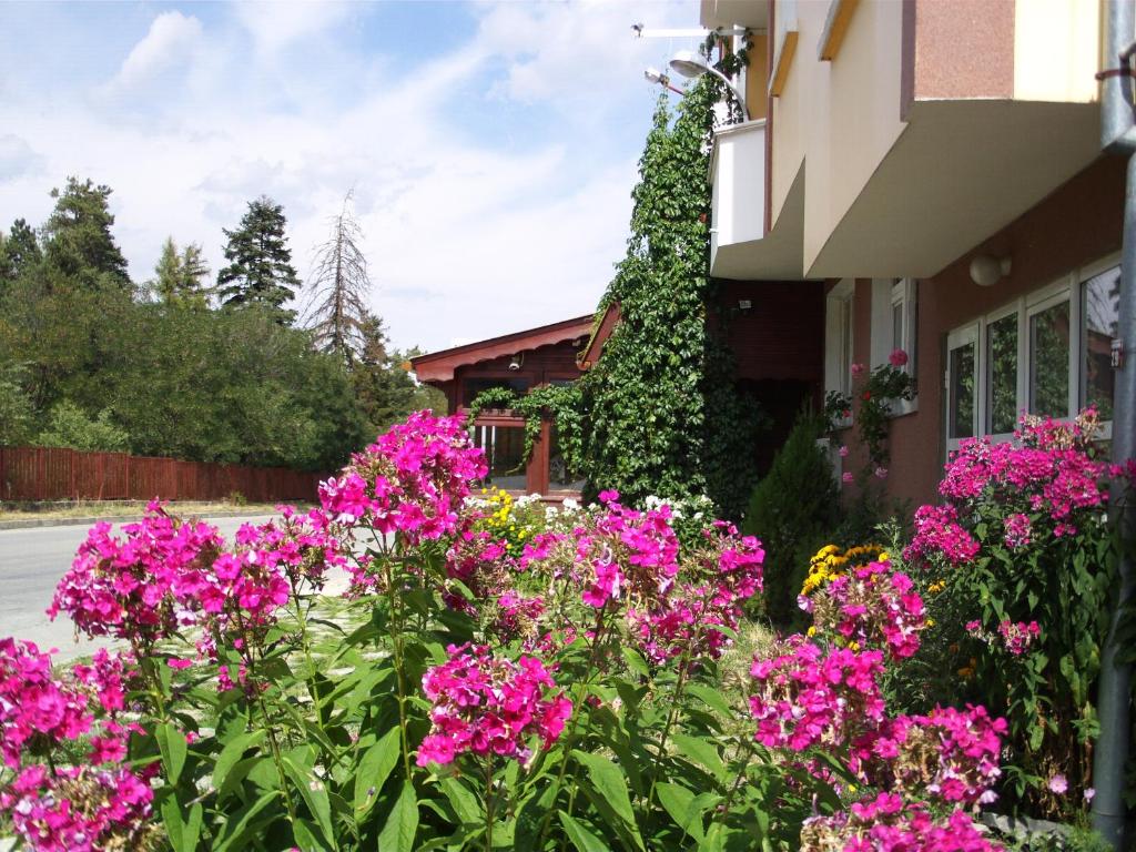 un ramo de flores rosas delante de una casa en Guest House Zodiac, en Samokov