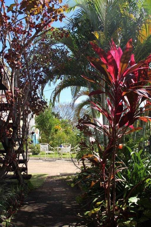 
A garden outside Asylum Cairns Hostel
