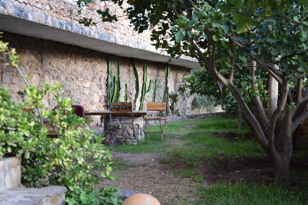 Zahrada ubytování Hotel Leonor