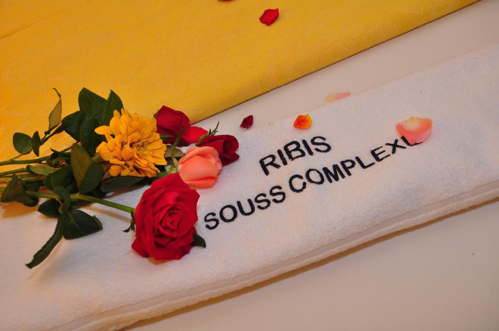 Hotel Ribis - Housity
