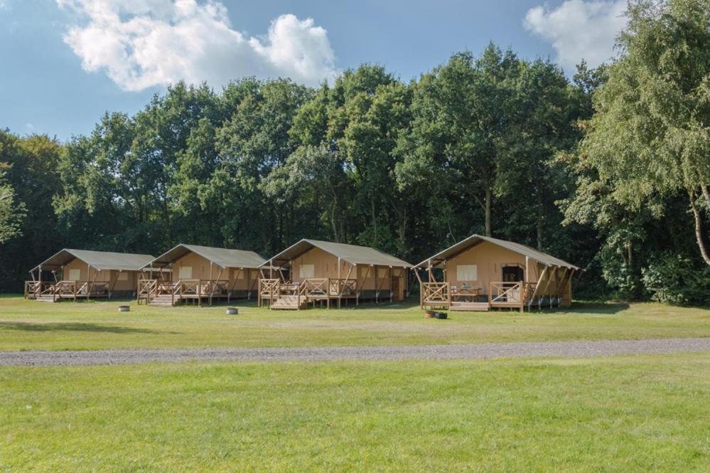 a group of huts in a field with trees at Camping At Sea in Dronten