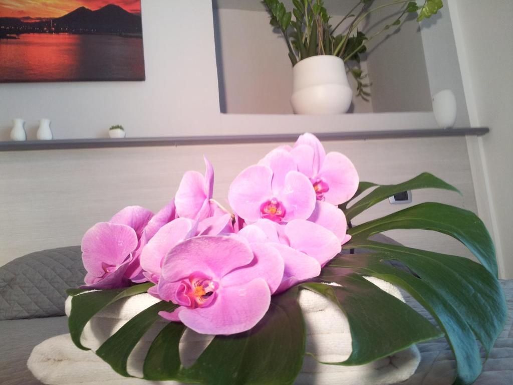 ナポリにあるB&B Solimenaのテーブルの上にピンクの花瓶