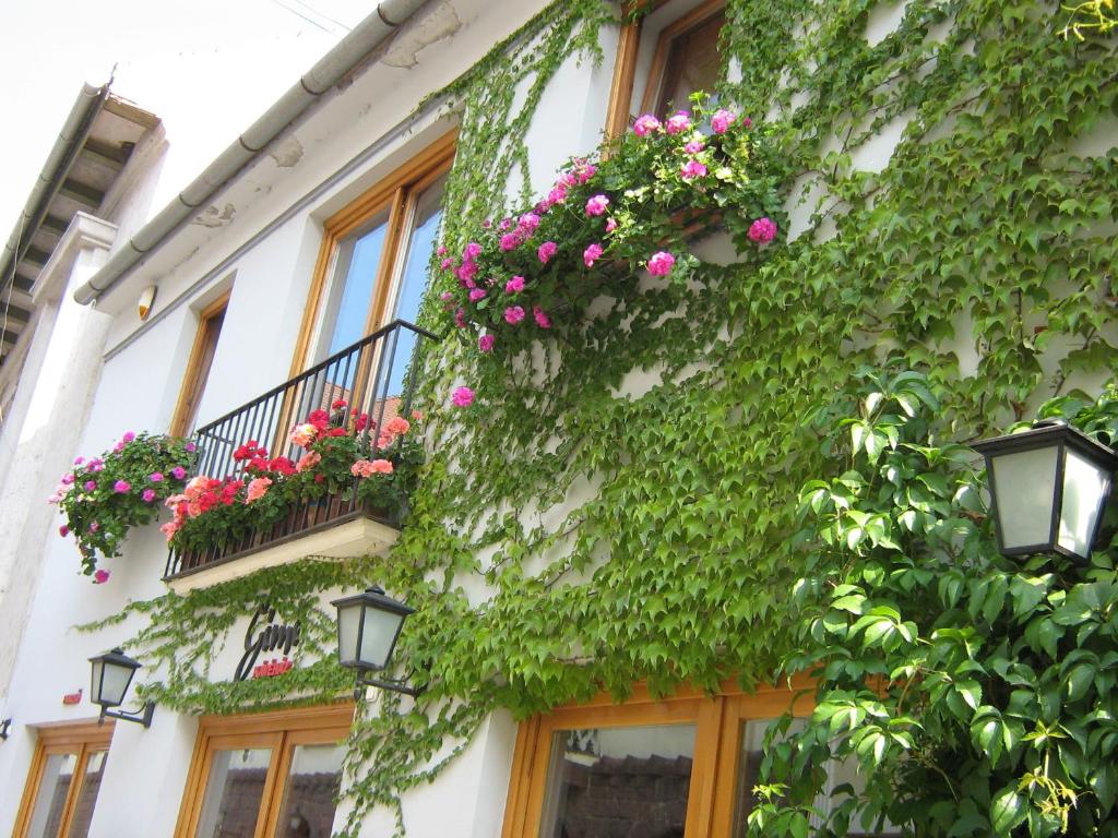 a building with flowers on the side of it at Gimi Vendégház in Baja