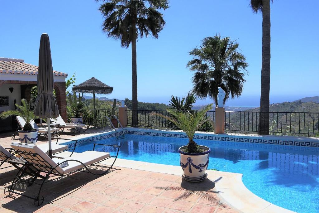 - une piscine avec des chaises et un palmier dans l'établissement Cortijo La Palmera, Frigiliana, à Frigiliana