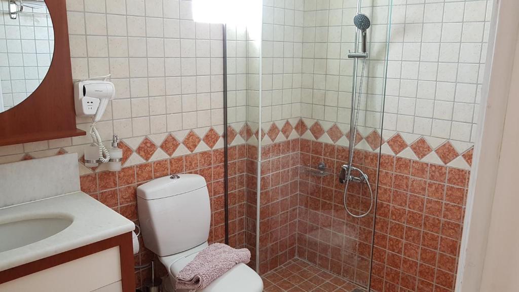 a bathroom with a shower and a toilet and a sink at Hotel Grand Nefeli in Vasiliki