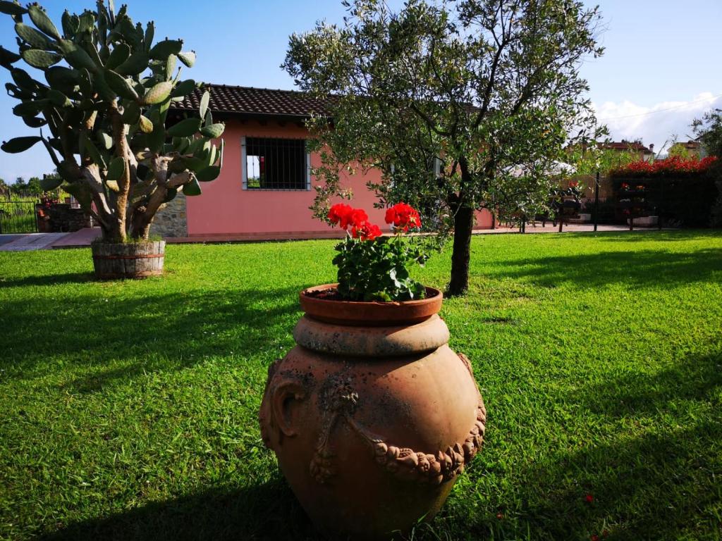 a large clay pot with flowers in the grass at Caise in Castelnuovo Magra