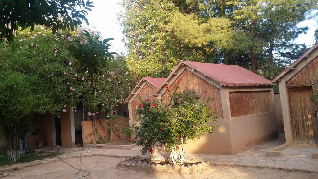 un petit bâtiment avec un arbre en face dans l'établissement auberge souktana, à Taliouine