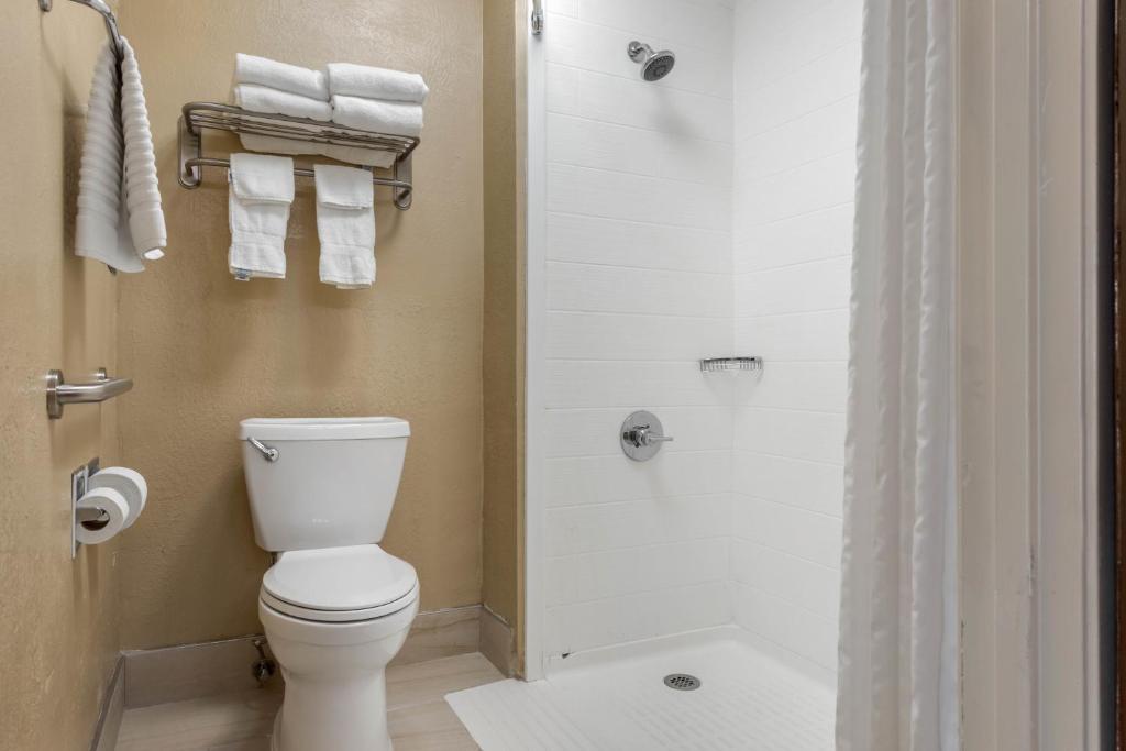 Comfort Inn South - 