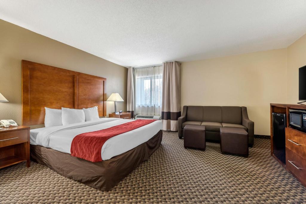Comfort Inn South - 