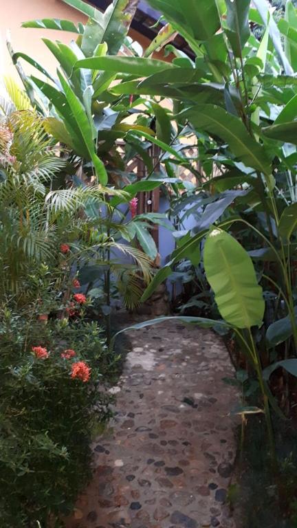  Suites&Chalés Madalenas Itamambuca