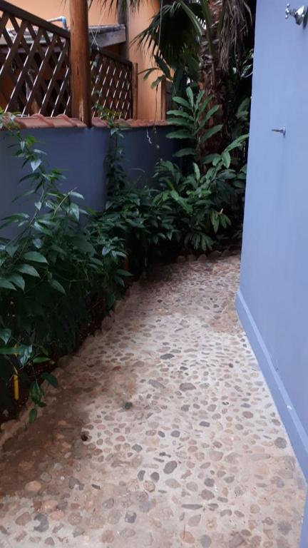  Suites&Chalés Madalenas Itamambuca