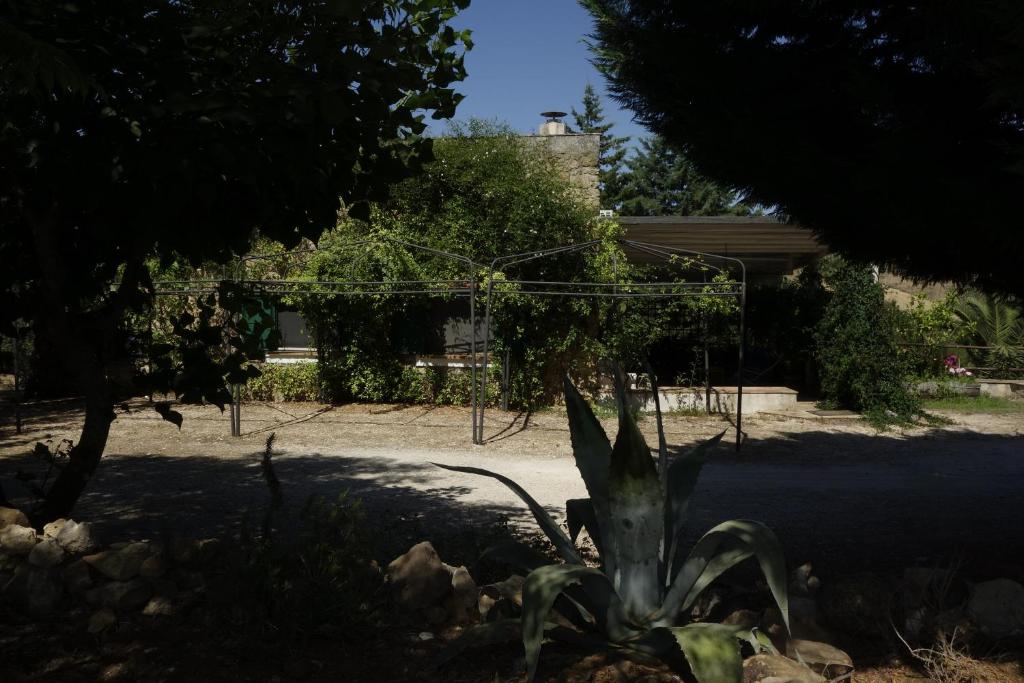 Egesta, villa with private pool - Villa Avec Piscine Privée