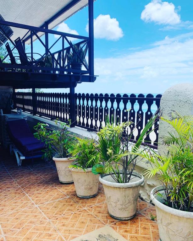a group of potted plants sitting on a patio at Beach Vue Barbados in Bridgetown