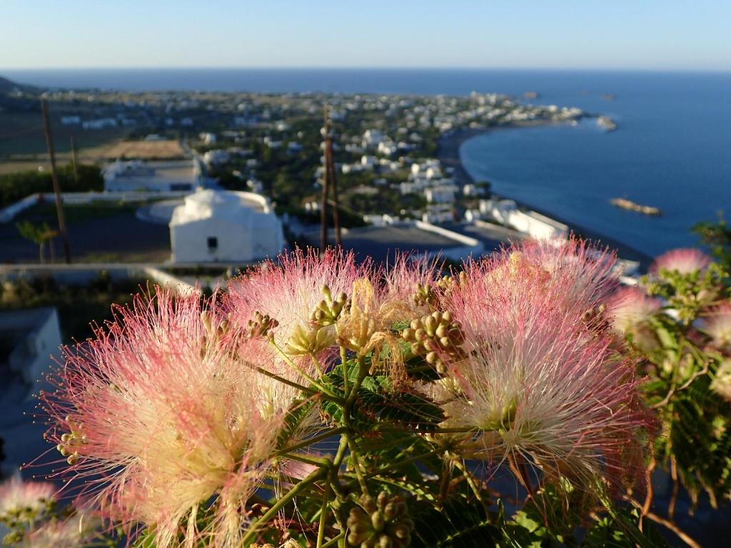 een uitzicht op een stad met roze planten en de oceaan bij Eastern Wind Home in Skiros
