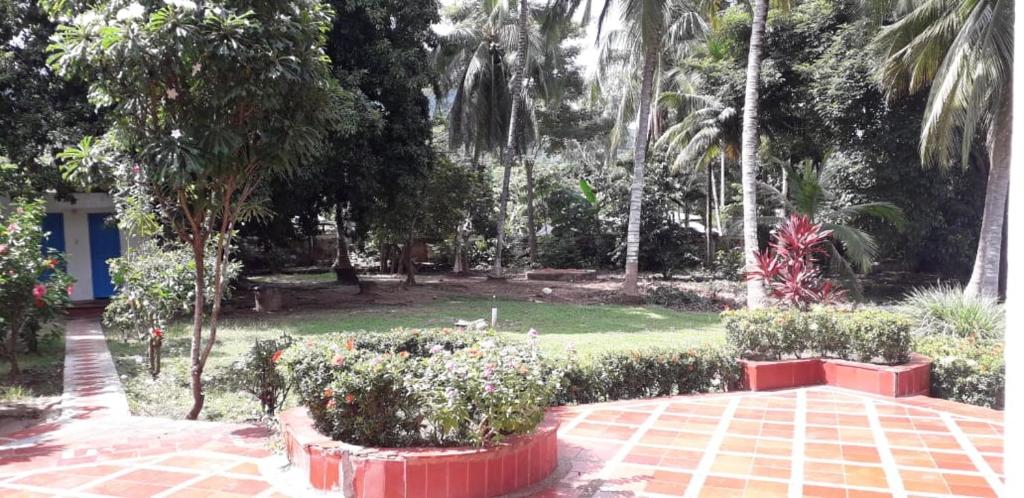 Zahrada ubytování Finca del Rio Palomino