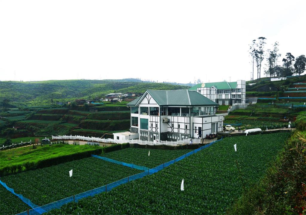 a house in the middle of a field of grass at The Blackpool Resort & Spa in Nuwara Eliya