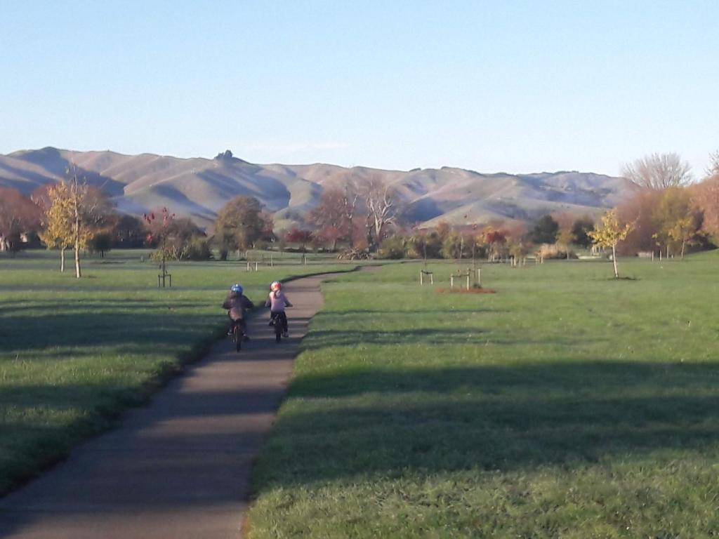 Te Waiharakeke Holiday Home - Resim 25