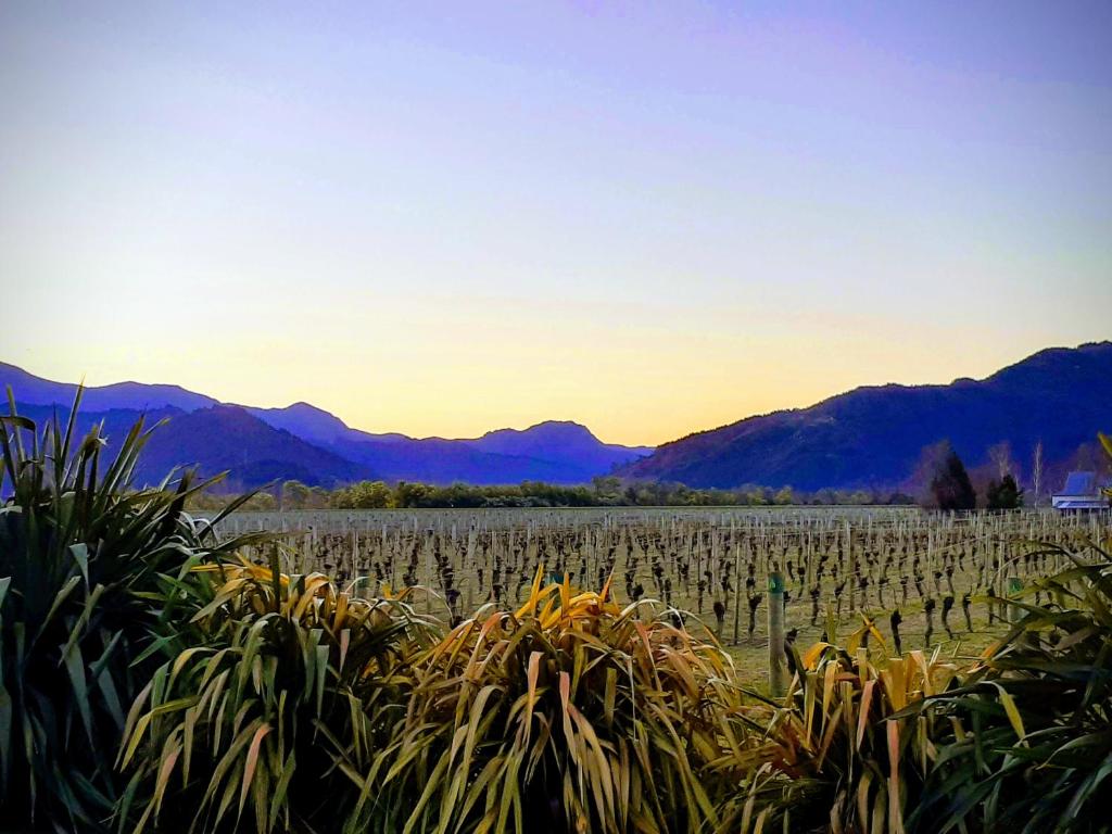 Te Waiharakeke Holiday Home - Resim 22