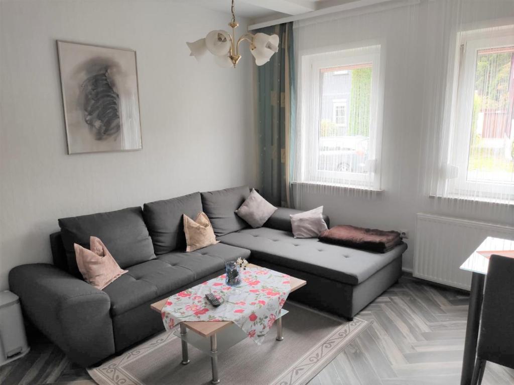 Ferienwohnung Cziesla في باد ساخسا: غرفة معيشة مع أريكة وطاولة