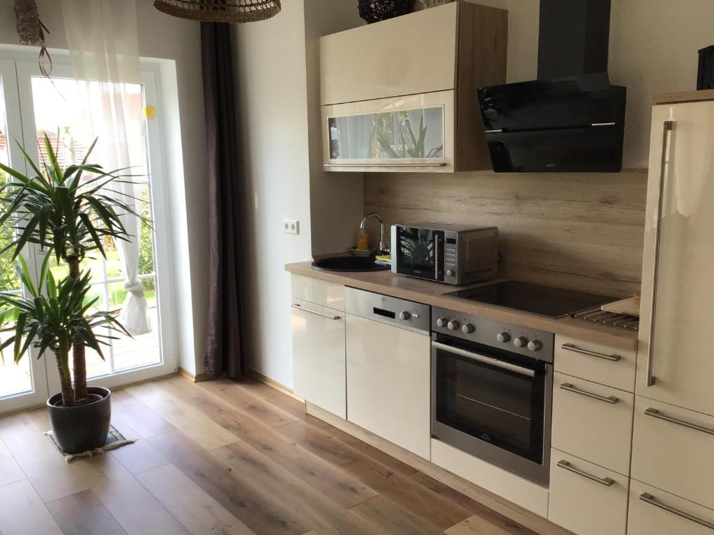 Kuchyň nebo kuchyňský kout v ubytování Villa Florentine