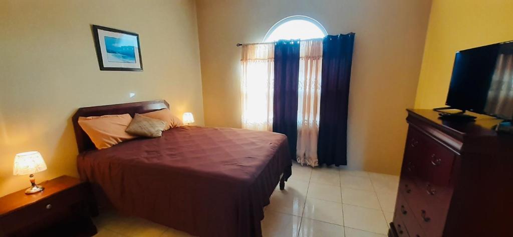 Spring Palm Estate - Housity