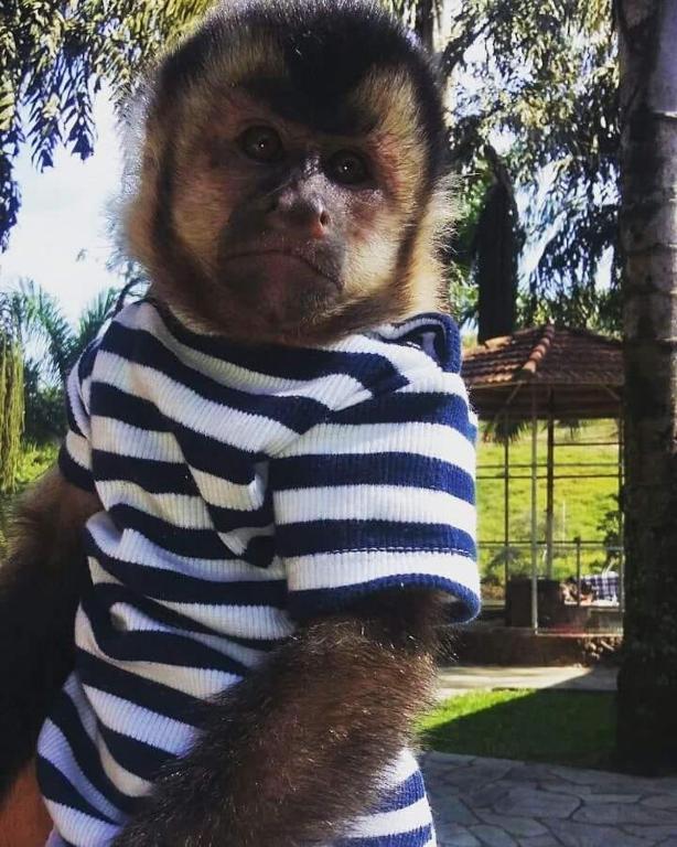  Hotel e Pousada Recanto do Rio Pardo