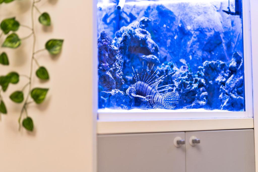 Hotel Cairoli - Resim 16