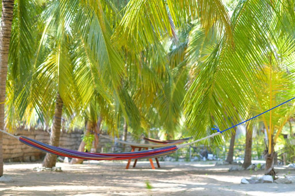 Zahrada ubytování De Silva Palm Resort