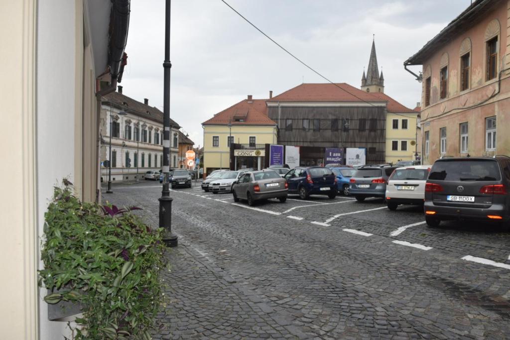 Lumiere House Sibiu - Resim 43