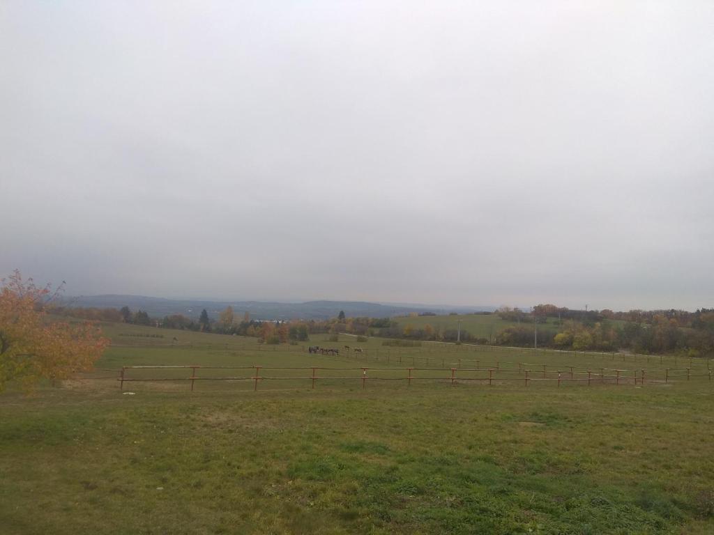 Příroda nedaleko hotelu