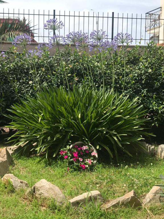 A garden outside Lovely Little Apartment in Via Aurelia
