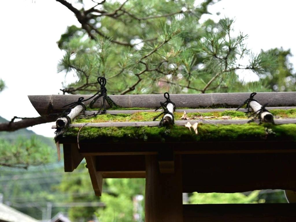 Zahrada ubytování Ryokan Warabino