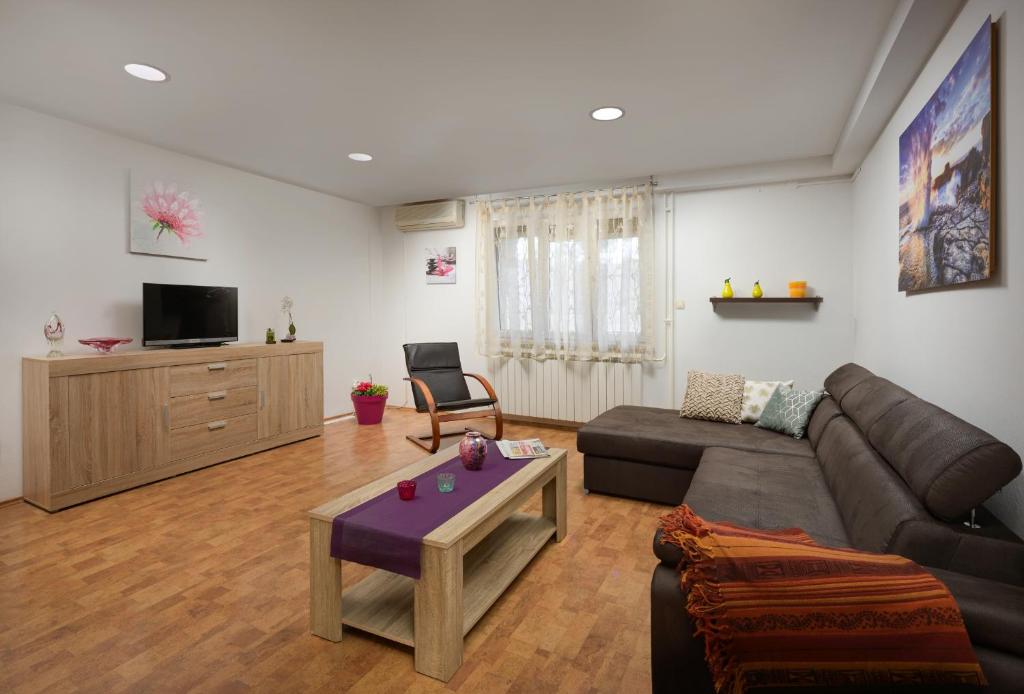 TV a/nebo společenská místnost v ubytování Apartment Tea
