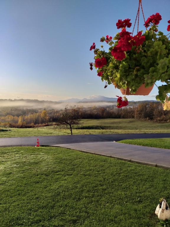 Apartment Melissa - 6